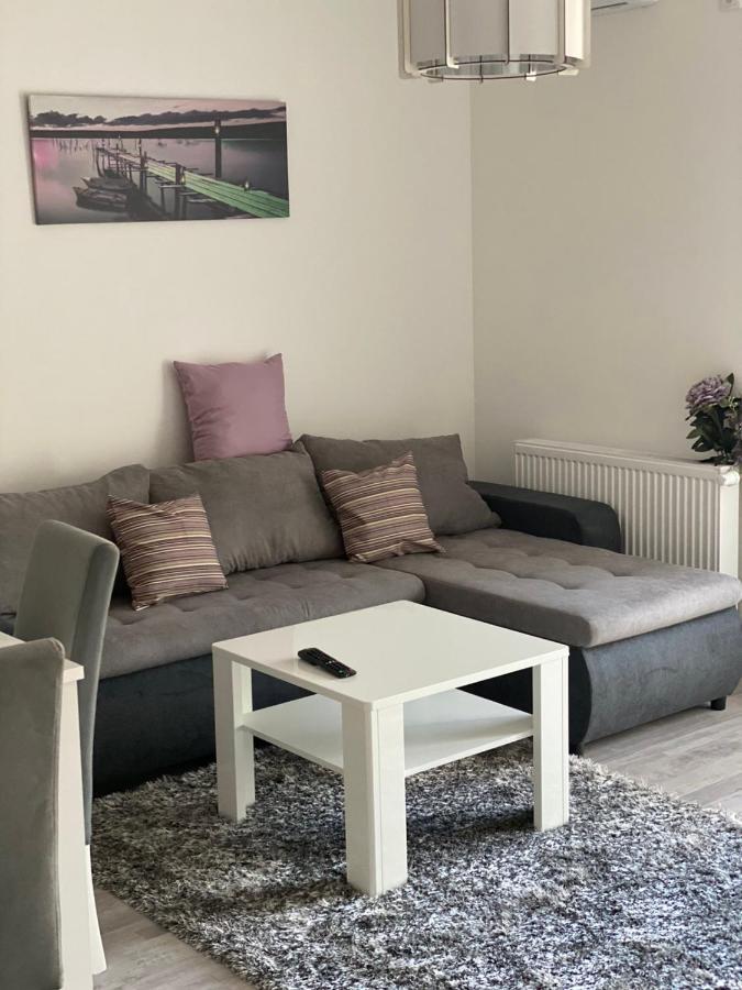 Apartmani Milic Banja Koviljača Kültér fotó